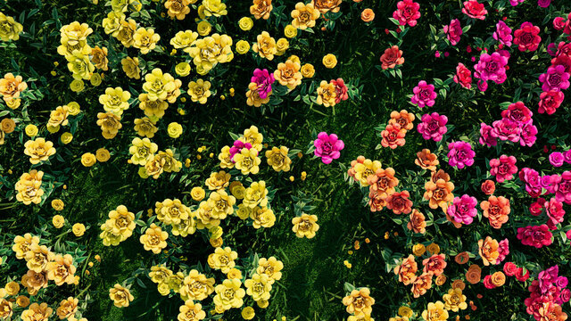 Multicolored Flower Background. Floral Wallpaper with Pink and Yellow Roses. 3D Render