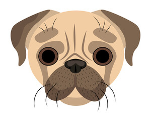 Drawing of the pug's muzzle.  Dog face, cute pug. A simple drawing of a dog.