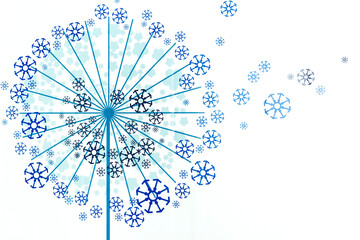 Fototapety  Niebieskie płatki śniegu na białym tle, mniszek lekarski z płatków śniegu