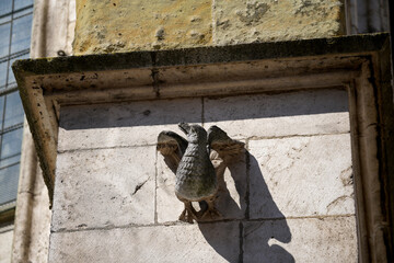 Lime sandstone gargoyles at St. Peter's Cathedral in Regensburg, photographed in spring