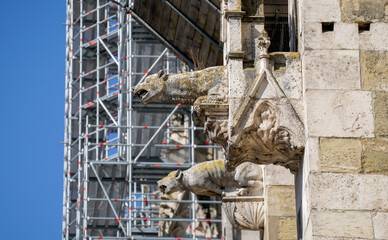 Lime sandstone gargoyles at St. Peter's Cathedral in Regensburg, photographed in spring