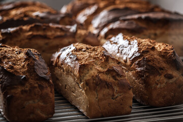A loaf of freshly baked crispy bread