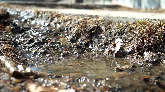 Spring stream at city street, the end of winter, runoff, thaw, snow melting and flooding. Slow motion close up of a dirty running water through mud and leaves, at sunny daylight town.