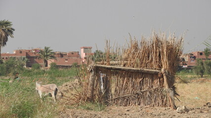 Obraz premium Variable 