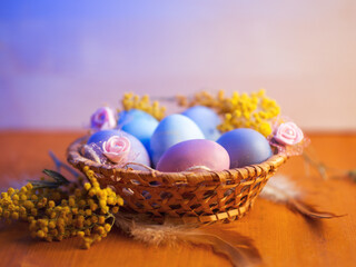 Wicker basket with painted Easter eggs, mimosa branches, wooden table copyspace