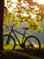 Fototapeta na wymiar Bicycle on the river Bank at sunset . Active lifestyle concept, green park or forest