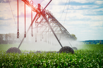 An irrigation pivot watering a field, beautiful view
