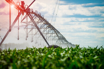 An irrigation pivot watering a field, beautiful view