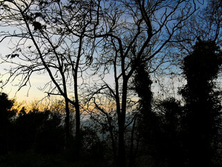 Obraz na płótnie Canvas Tramonto sui monti e le colline dell’Appennino visto da dietro ai rami degli alberi 