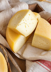 Pieces of  fresh homemade cheese on a tray close up