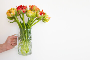 Male hand holding a bouquet of peony tulips in a beer glass on a white background