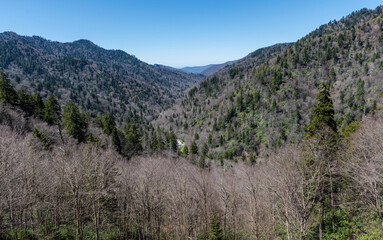 Fototapeta premium smoky mountains