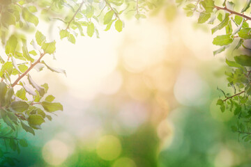 Beautiful bokeh background with green sparkle holly leaves and sparkle bokeh light
