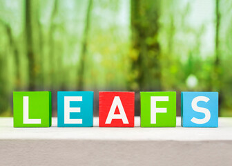 Leafs word written on wooden colorful blocks on a green nature background