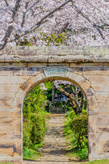 Fototapeta na wymiar 桜とアーチ型石門　円応寺　佐賀県武雄市　Cherry Blossoms and Arched stone gate Ennou temple Saga-ken Takeo city