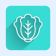 White line Fresh cabbage vegetable icon isolated with long shadow. Green square button. Vector