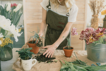 The girl's hands transplant green onions into a terracotta pot. Growing onions at home. Gardening.