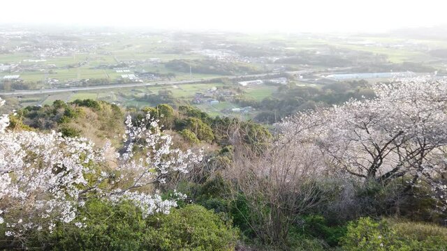 村制施行100周年記念塔（籾岳展望台）からの眺め