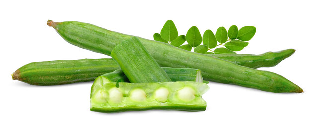 Moringa isolated on white with clipping path