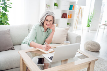 Portrait of cheerful woman sit on sofa hand on cheek hold pen writing note look laptop have good mood home indoors