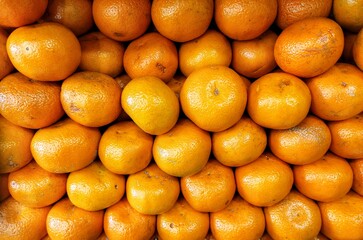 neatly arranged citrus fruits that are sold in the fruit market