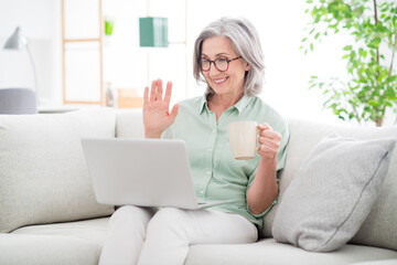 Portrait of positive friendly woman sit on sofa hold tea cup palm wave look laptop speak weekend indoors