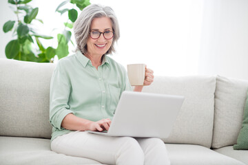 Portrait of charming person sit on sofa arm hold coffee use laptop chatting watch serial free time indoors