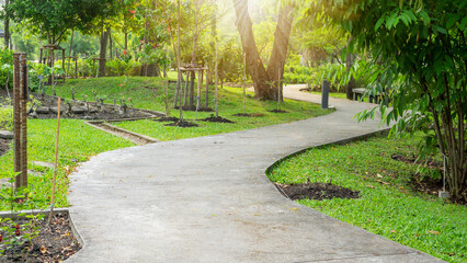Gray curve pattern walkway, sand washed finishing on concrete paving in garden