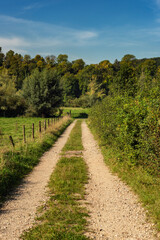 Fototapeta na wymiar Dirt road in green lush rural landscape on a sunny summer's day.