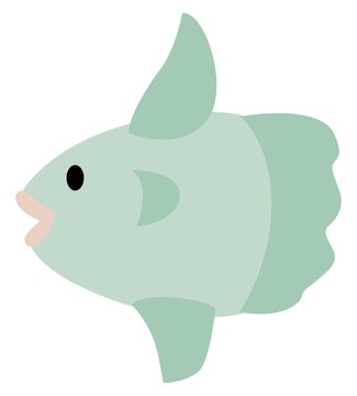 recommend clip art: かわいいマンボウのイラスト