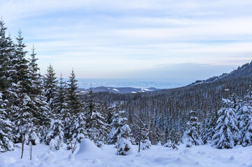 Fototapeta na wymiar Snowy winter panoramic view in Austrian Alps