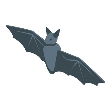 Scary bat icon. Isometric of Scary bat vector icon for web design isolated on white background
