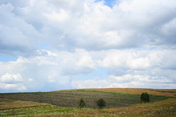 Obraz premium landscape with clouds