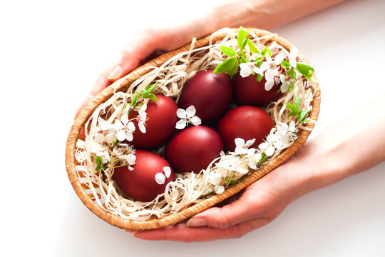 Womans hands holding Easter eggs in basket on white background. Close-up. Selective focus.