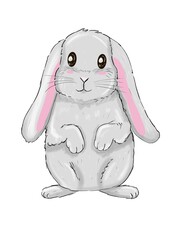 Cute easter bunny illustration isolated on white background