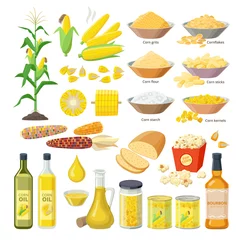 Fotobehang Corn food, set of maize meal, corn oil, corn stickes, cornflakes, pop corn, grits, flour, starch, kernels, plant, bread, bourbon - flat ions isolated on white background. © Bezvershenko