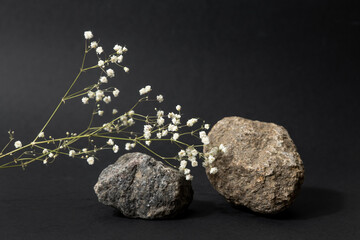 Fototapeta premium Stone and dried white flowers on a black background. Natural nature podium , still life composition, Aesthetic, minimalism