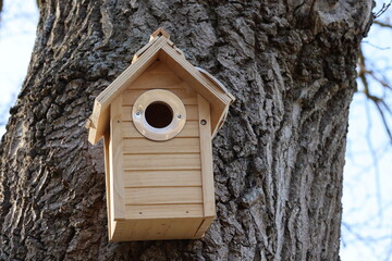Nistkasten am Baum für den Tierschutz