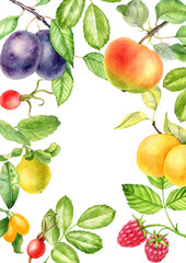 background with watercolor drawing fruit and berries