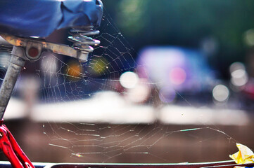 old bicycle with the spider web