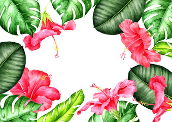 tropical background with flowers of red hibiscus © cat_arch_angel