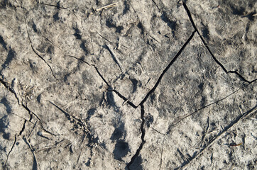 stone wall texture