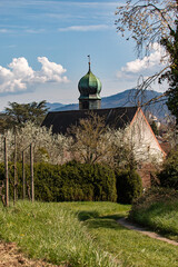 frühjahr in Lehen