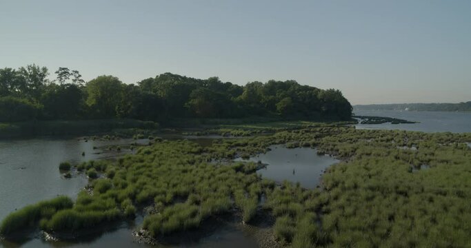 Patches of green grass in the river and dense trees on the other sides