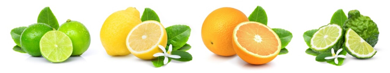 Various types of fresh citrus fruit ( lime, lemon, orange, bergamot ) isolated on white background.