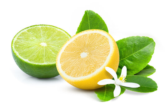 lime and lemon isolated on white.