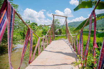 A bamboo bridge stretches in the green rice fields.