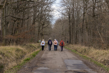Obraz premium Randonneurs, forêt domaniale de Sénart, 91, Essonne