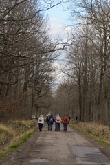 Randonneurs, forêt domaniale de Sénart, 91, Essonne