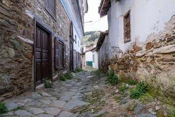 local historical houses in one of the streets in Sirince village and forest with trees in Spring time in Izmir, Turkey